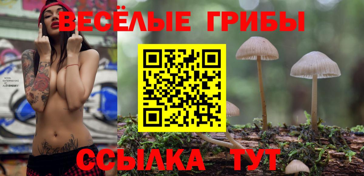 Псилоцибиновые грибы ЛСД  Вход с VPN  Клинцы 